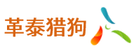 深圳革泰集团有限公司
